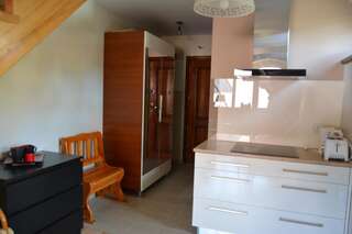 Апартаменты Apartament M9 - Zakopane Закопане Мезонет-10